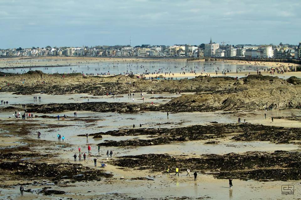 Le Cati Mini Cancale Quarto foto