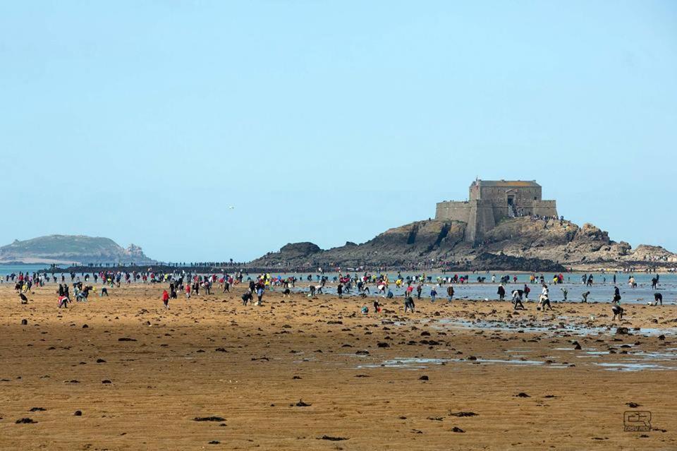 Le Cati Mini Cancale Quarto foto