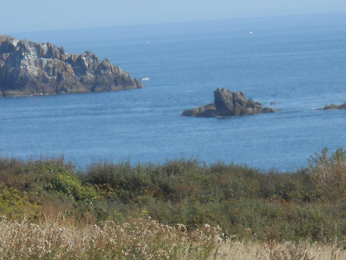Le Cati Mini Cancale Quarto foto